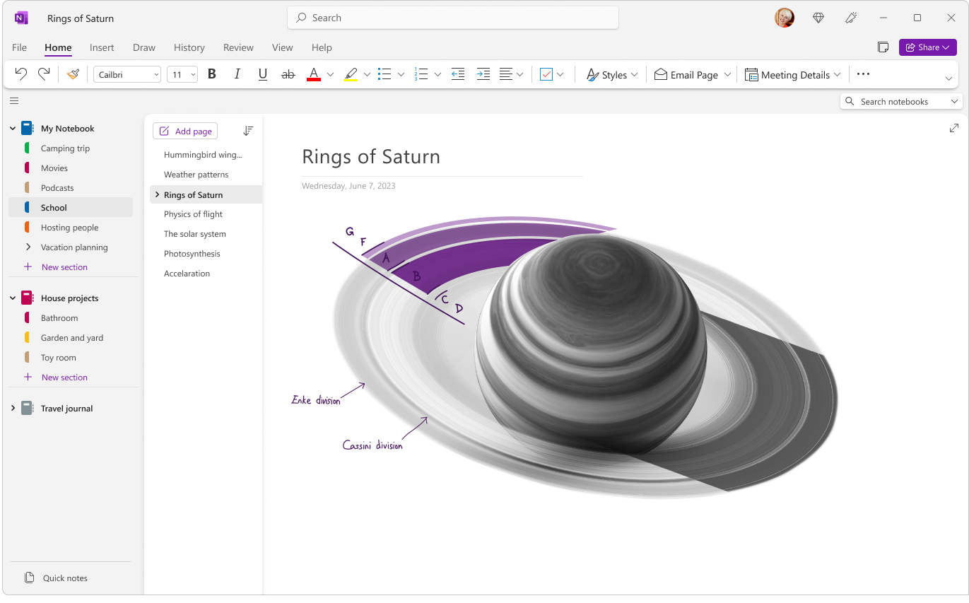 OneNote organisation OneNote organisation