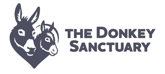 The Donkey Sanctuary