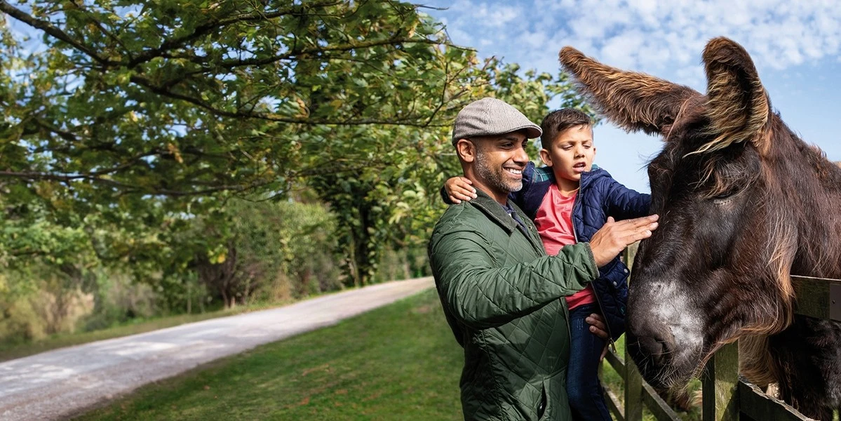 The Donkey Sanctuary